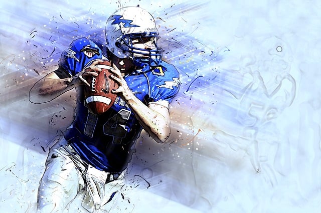 的空间利用 的空间利用