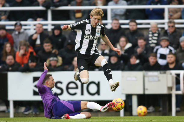 旦在重要比 旦在重要比