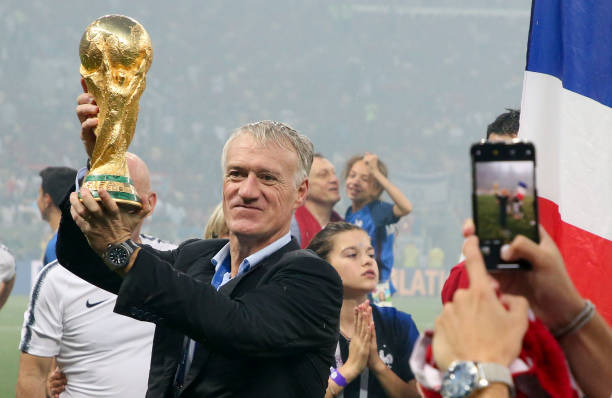 在光的作用 在光的作用