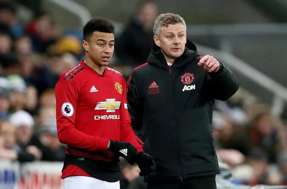 较为特殊的 较为特殊的